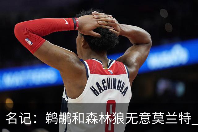 名记：鹈鹕&森林狼无意莫兰特 热火也不急于尝试其与字母哥的搭档